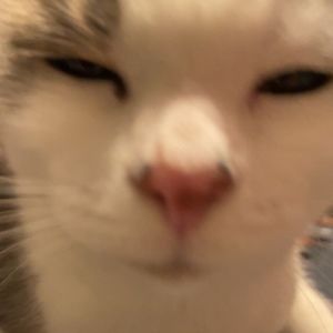 Meet your Posher, Claire